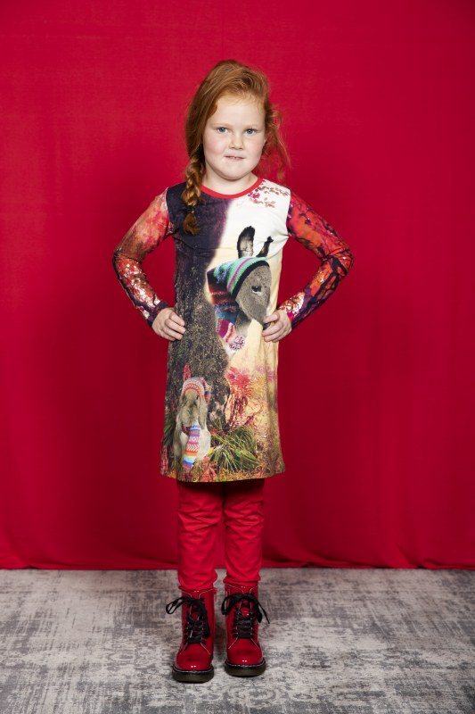Jurkje ezeltje 